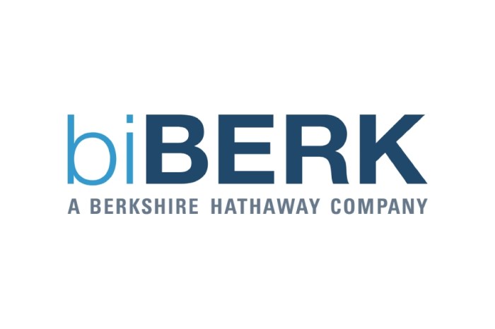 biBerk Insurance Review [2023] | Is It A Legit Buy Or Pass?