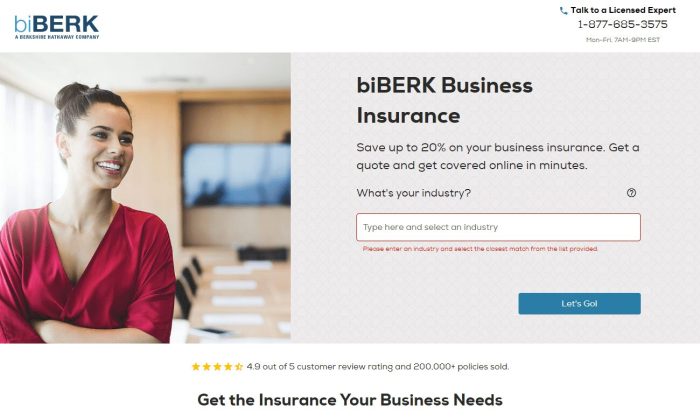 biBerk Insurance Review [2023] | Is It A Legit Buy Or Pass?
