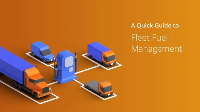 How To Manage A Fleet of Vehicles: Beginner’s Guide (2024)