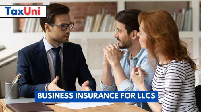 Business Insurance For LLCs Business Insurance For LLCs